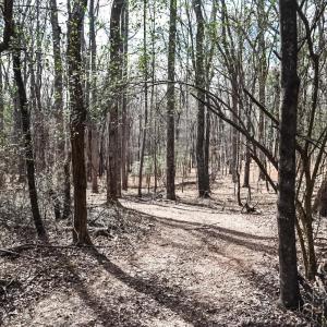 Photo #17 of Cottontown Road, Forest, VA 10.1 acres