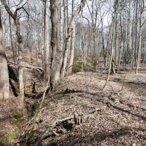 Photo #11 of Cottontown Road, Forest, VA 10.1 acres