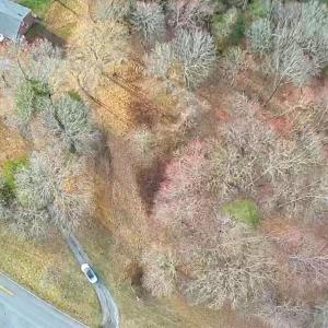 Photo #6 of Cottontown Road, Forest, VA 10.1 acres