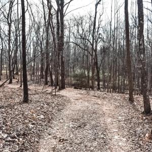 Photo #16 of Cottontown Road, Forest, VA 10.1 acres