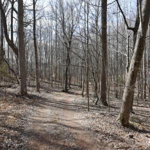Photo #12 of Cottontown Road, Forest, VA 10.1 acres