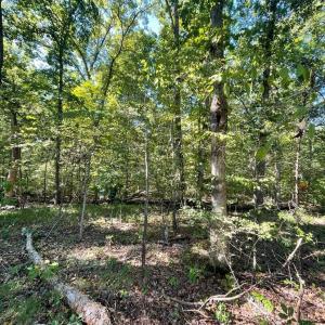 Photo #5 of Lakasie Dr, Farmville, VA 3.8 acres