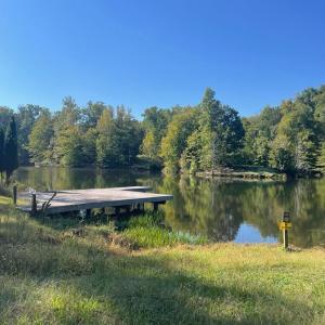 Photo #1 of Lakasie Dr, Farmville, VA 3.8 acres