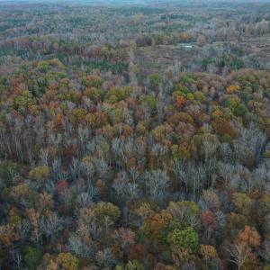 Photo #8 of Lakasie Dr, Farmville, VA 3.8 acres