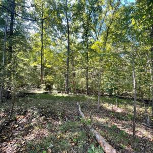 Photo #4 of Lakasie Dr, Farmville, VA 3.8 acres
