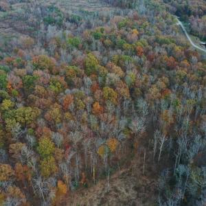 Photo #17 of Lakasie Dr, Farmville, VA 3.8 acres
