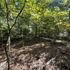 Photo #7 of Lakasie Dr, Farmville, VA 3.8 acres
