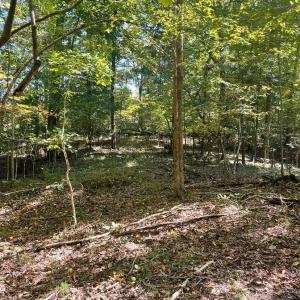 Photo #6 of Lakasie Dr, Farmville, VA 3.8 acres