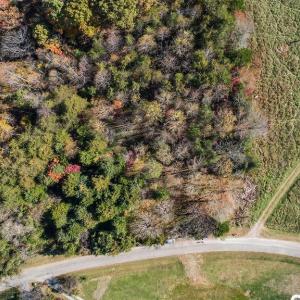 Photo #2 of 1704 Wingfield Drive, Goode, VA 21.7 acres