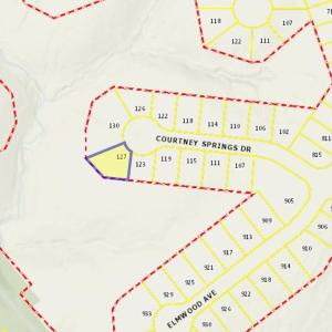 Photo #3 of 127 Courtney Springs Drive, Lynchburg, VA 0.2 acres