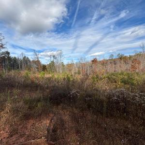 Photo #2 of Colemans Mill Road, Gladstone, VA 8.0 acres