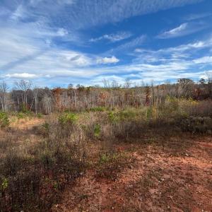 Photo #3 of Colemans Mill Road, Gladstone, VA 8.0 acres