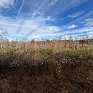 Photo #1 of Colemans Mill Road, Gladstone, VA 8.0 acres