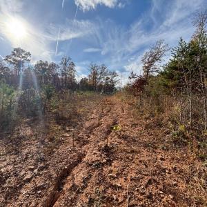 Photo #5 of Colemans Mill Road, Gladstone, VA 8.0 acres