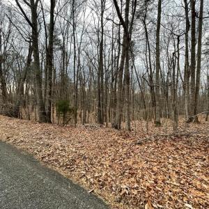 Photo #6 of Swan Creek Road, Gladys, VA 16.1 acres