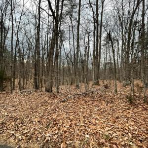 Photo #2 of Swan Creek Road, Gladys, VA 16.1 acres