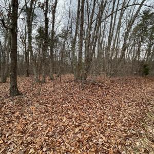 Photo #9 of Swan Creek Road, Gladys, VA 16.1 acres