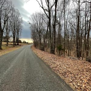 Photo #5 of Swan Creek Road, Gladys, VA 16.1 acres