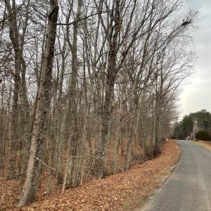 Photo #12 of Swan Creek Road, Gladys, VA 16.1 acres
