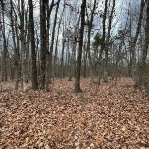 Photo #8 of Swan Creek Road, Gladys, VA 16.1 acres