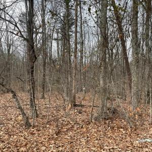 Photo #11 of Swan Creek Road, Gladys, VA 16.1 acres