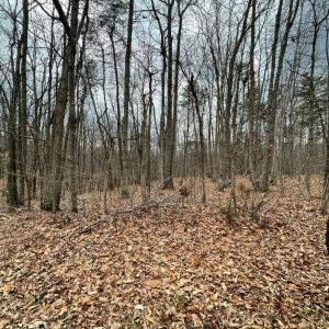 Photo #7 of Swan Creek Road, Gladys, VA 16.1 acres