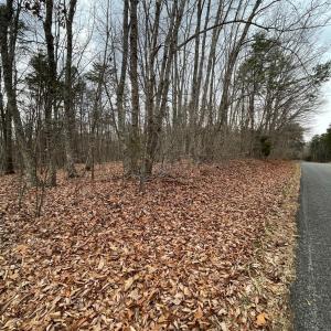 Photo #10 of Swan Creek Road, Gladys, VA 16.1 acres