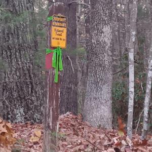 Photo #4 of Pera Road, Naola, VA 0.3 acres