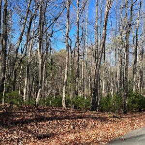 Photo #2 of Pera Road, Naola, VA 0.3 acres