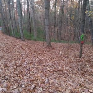 Photo #3 of Pera Road, Naola, VA 0.3 acres