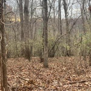 Photo #6 of 1147 Stratford Road, Lynchburg, VA 9.5 acres