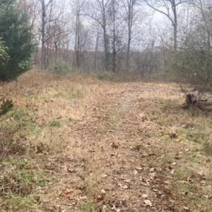 Approaching first flat clearing into property