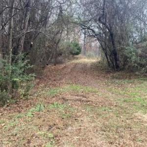 Entrance to property