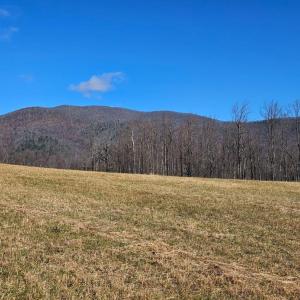 Photo #21 of Lexington Turnpike, Amherst, VA 100.9 acres