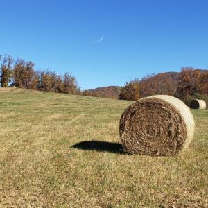 Photo #6 of Lexington Turnpike, Amherst, VA 100.9 acres