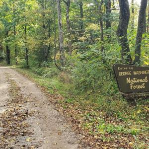 Photo #14 of Lexington Turnpike, Amherst, VA 100.9 acres