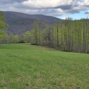 Photo #10 of Lexington Turnpike, Amherst, VA 100.9 acres