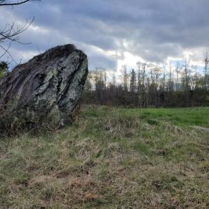 Photo #7 of Lexington Turnpike, Amherst, VA 100.9 acres