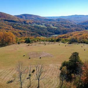 Photo #11 of Lexington Turnpike, Amherst, VA 100.9 acres