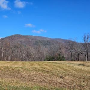 Photo #25 of Lexington Turnpike, Amherst, VA 100.9 acres