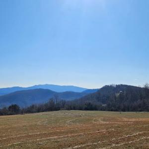 Photo #18 of Lexington Turnpike, Amherst, VA 67.9 acres