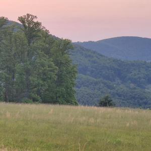 Photo #16 of Lexington Turnpike, Amherst, VA 67.9 acres