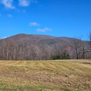 Photo #13 of Lexington Turnpike, Amherst, VA 67.9 acres