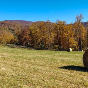 Photo #11 of Lexington Turnpike, Amherst, VA 67.9 acres