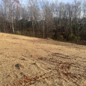 Photo #3 of 9 Lakepointe Drive, Forest, VA 1.5 acres