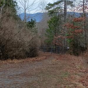 Photo #1 of Wilderness Creek Road, Monroe, VA 100.0 acres
