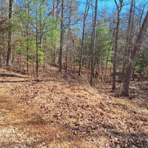 Photo #1 of Wilderness Creek Road, Monroe, VA 100.0 acres