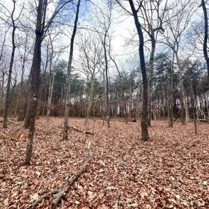 Photo #15 of 6000 Wards Road, Rustburg, VA 9.2 acres
