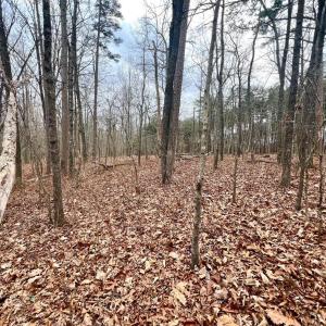 Photo #14 of 6000 Wards Road, Rustburg, VA 9.2 acres