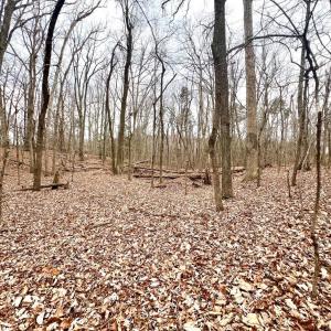 Photo #16 of 6000 Wards Road, Rustburg, VA 9.2 acres